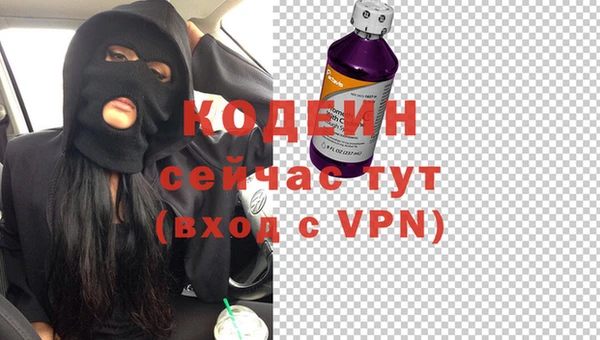 крисы Баксан