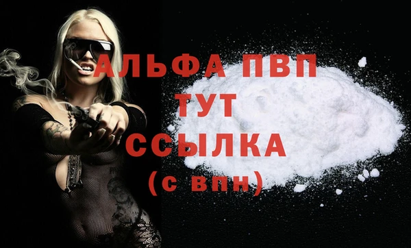 крисы Баксан