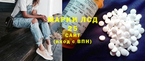 крисы Баксан