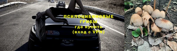 эйфоретик Балахна