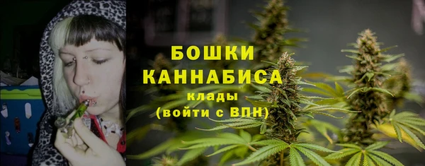 крисы Баксан